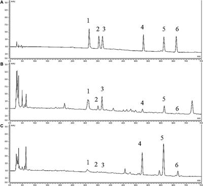 Components and Pharmacodynamical Mechanism of Yinfupian Based on Liquid Chromatography-Mass Spectrometry and Proteomics Analyses